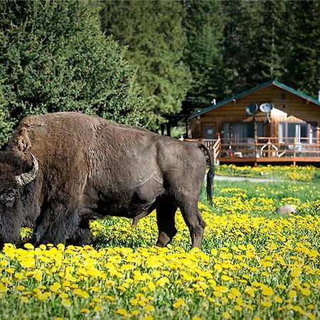 Silver Gate Lodging Cooke City Εξωτερικό φωτογραφία